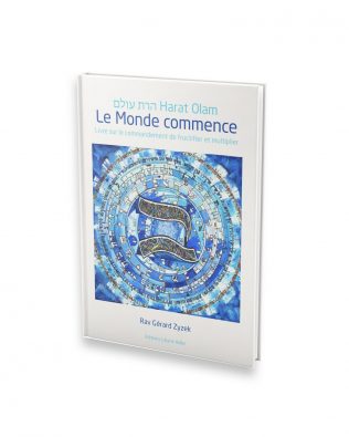 Le monde commence – Rav Zyzek – Numérique