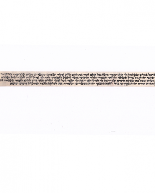 Parchment of Tefilins – Ashkenazi