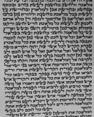 Séfer Torah séfarade Méhoudar (36 cm)