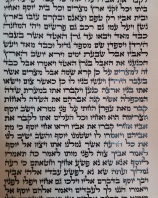 Séfer Torah séfarade Mehoudar++ (56 cm)