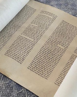 Très beau Séfer Torah séfarade Mehoudar (56 cm)
