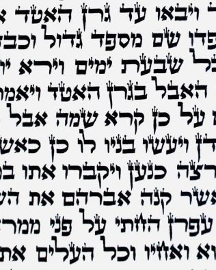 Séfer Torah séfarade Mehoudar (56 cm) – 1