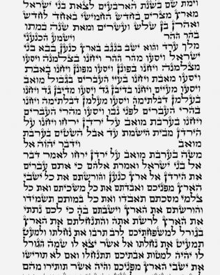 Séfer Torah séfarade Mehoudar (56 cm) – 3